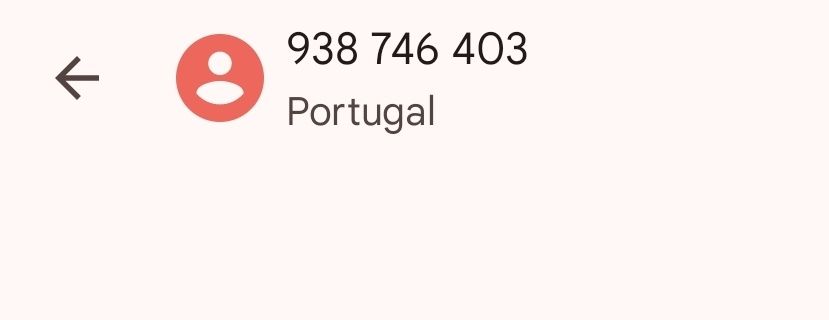Bonequinho ladrão