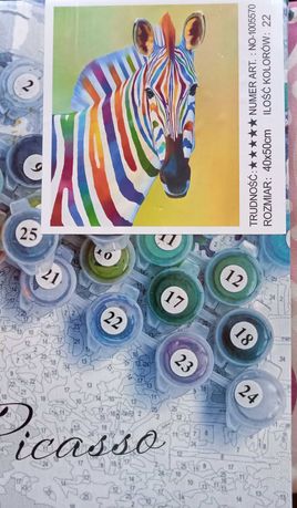 Kolorowa zebra /malowanie po numerach