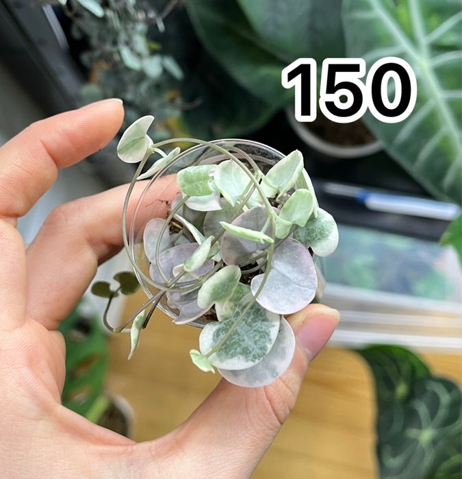 Обмін або викуп)