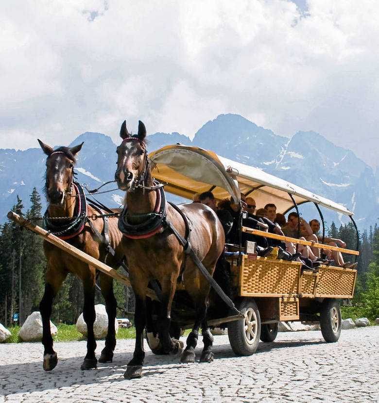 Zakopane /Wolne terminy / Tanio. Proszę dzwonić.