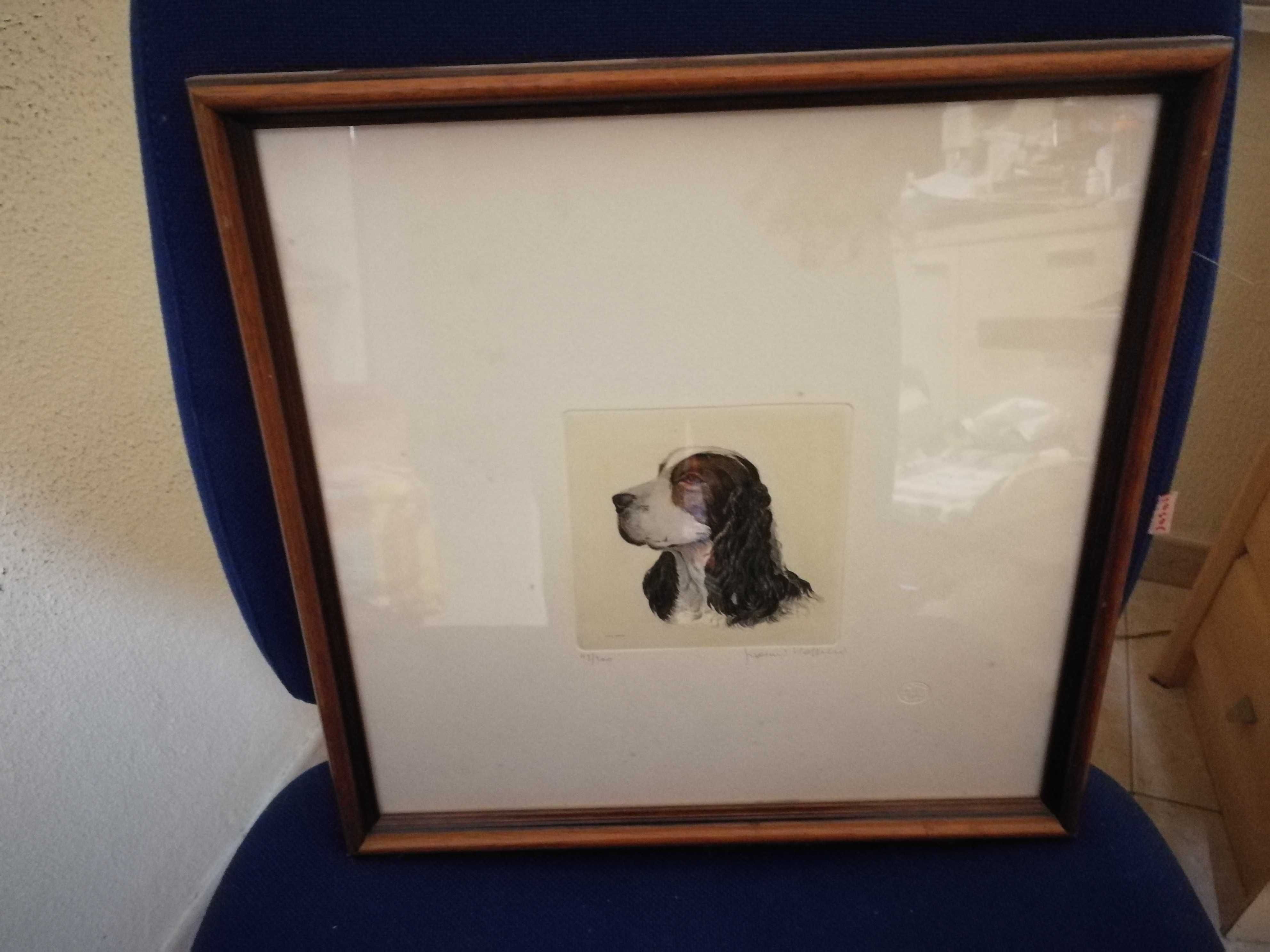 Quadro de vários cães