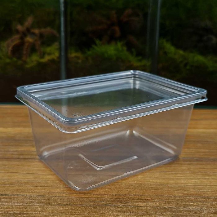 Terrarium Pojemnik hodowlany 111×86×50 mm ptasznik mocne terrarystyka