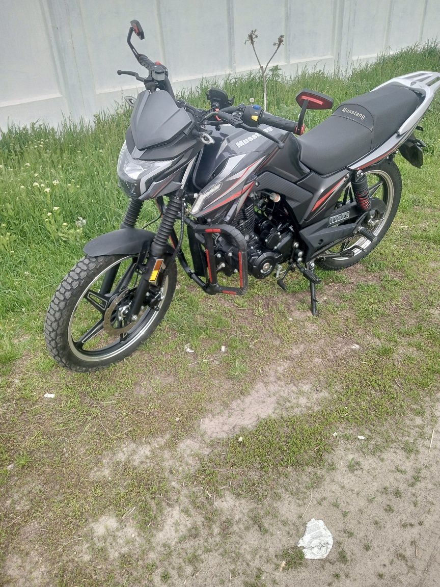 Продам Мустанг фортуна  200