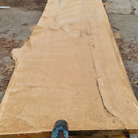 Stół monolit dąb jesion drzewo blat drewniany dębowy lite drewno wood