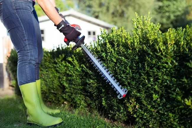 Nożyce akumulatorowe Sterwins Solo 20V 56cm