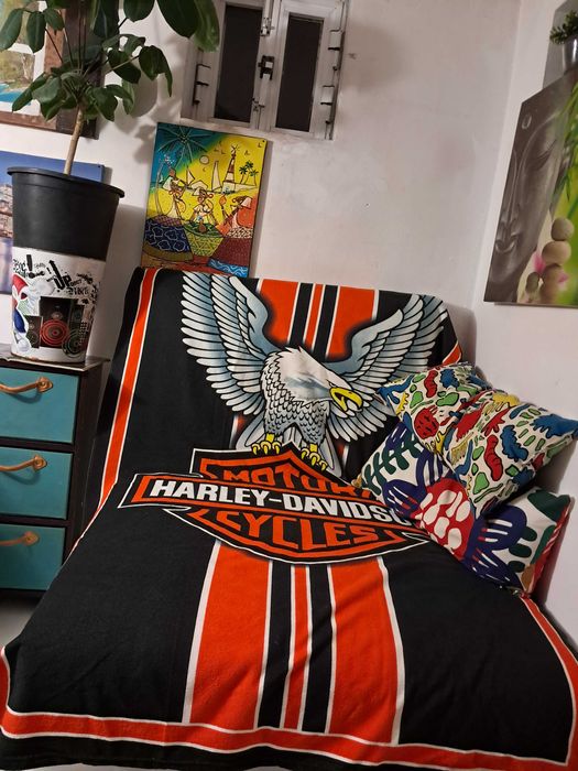 SOTÃO SOLTEIRO.Metro Chiado. CentroLisboa.Está DISPONÍVEL.