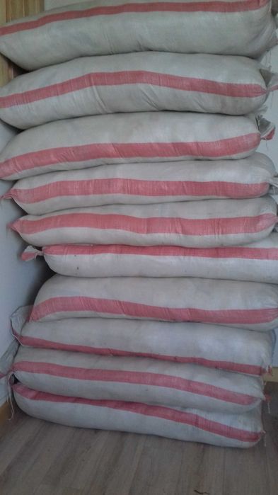 Rękawiczki foliowe  100sztuk