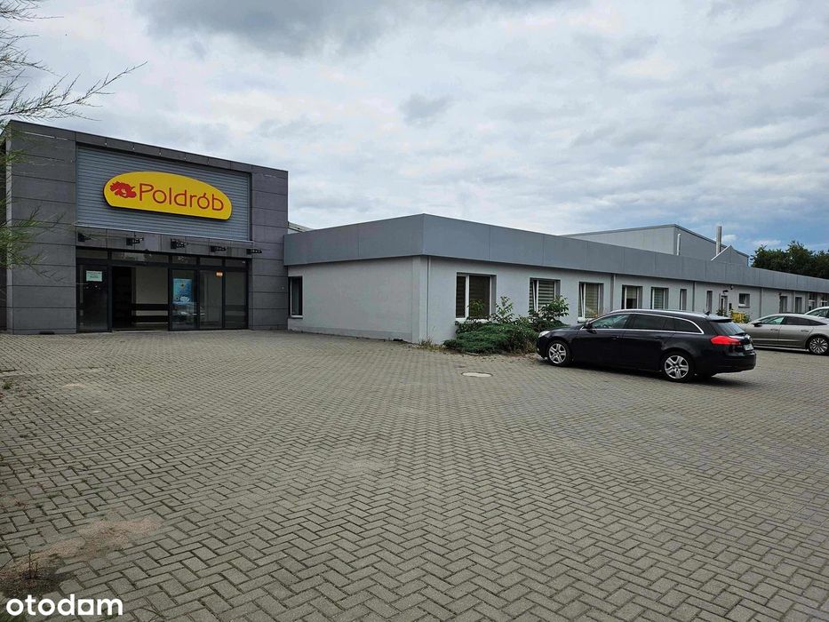 lokal użytkowy w atrakcyjnej lokalizacji