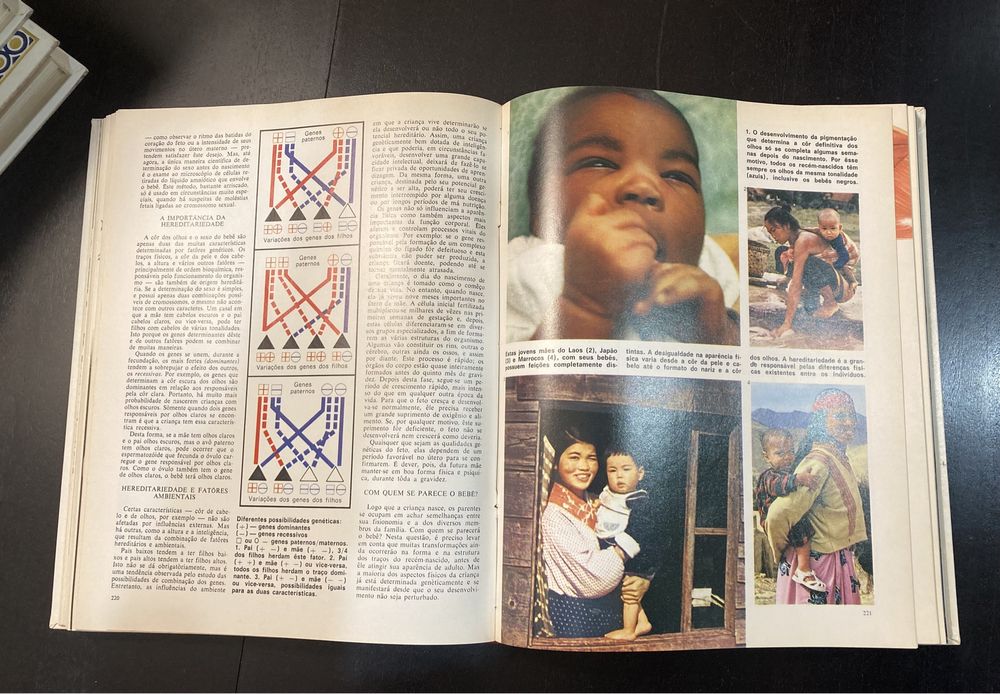 Livro da Vida (7 Volumes)