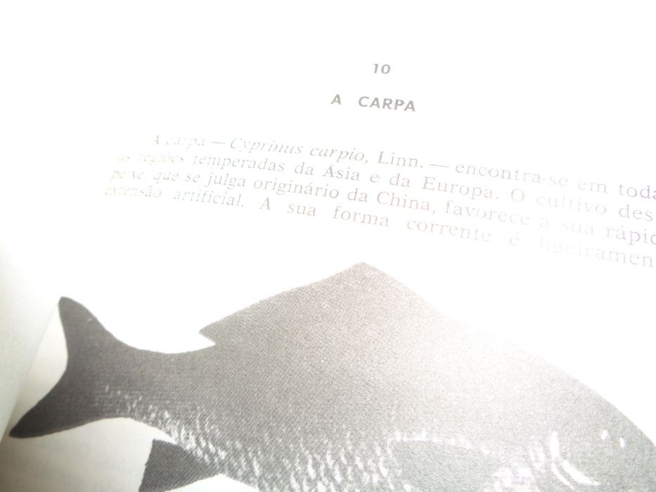 Livro Os Segredos da Pesca 360 Páginas