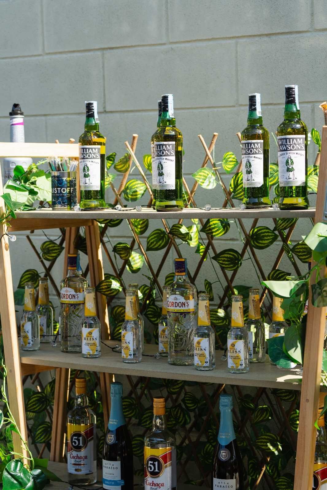 Alugo Contentor Bar equipado para festas