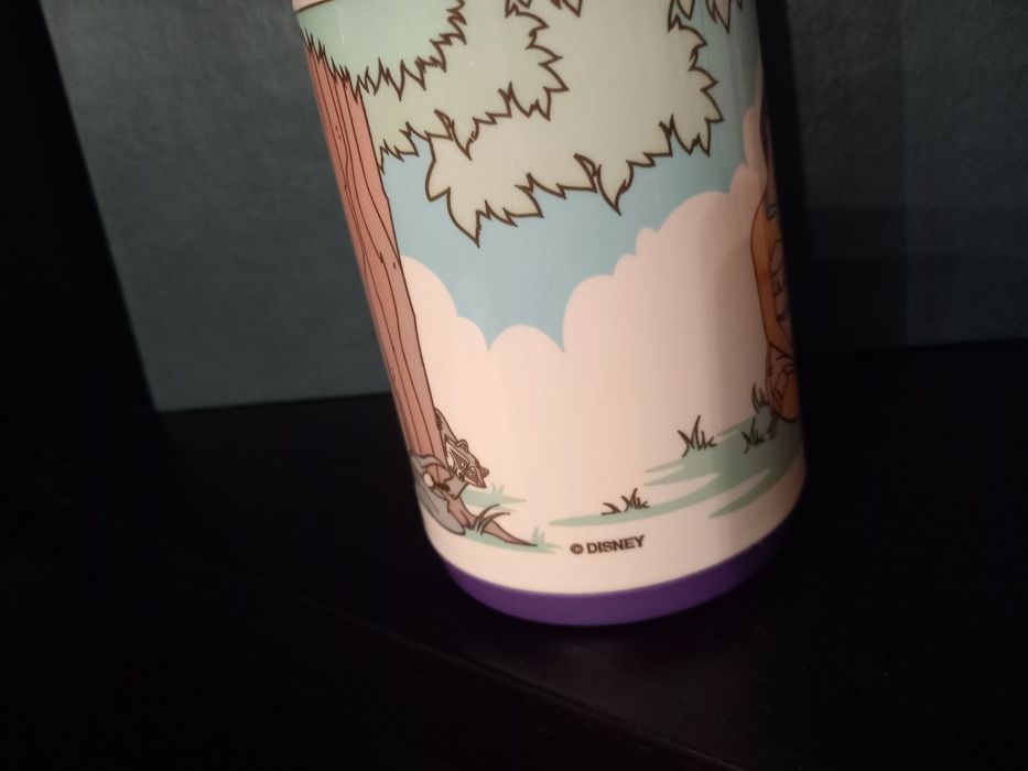 Termo Disney Pocahontas