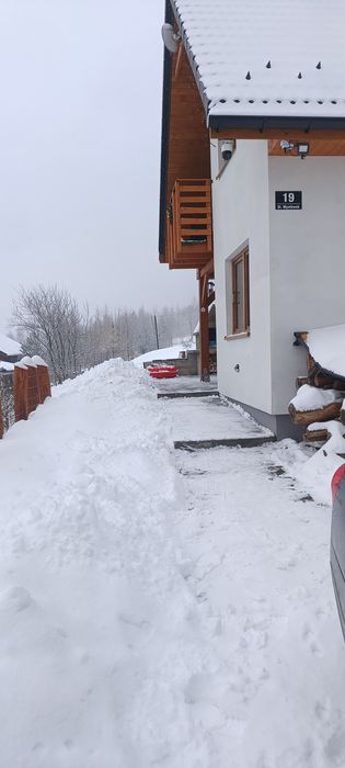 Domek Pod Lasem 450 zł