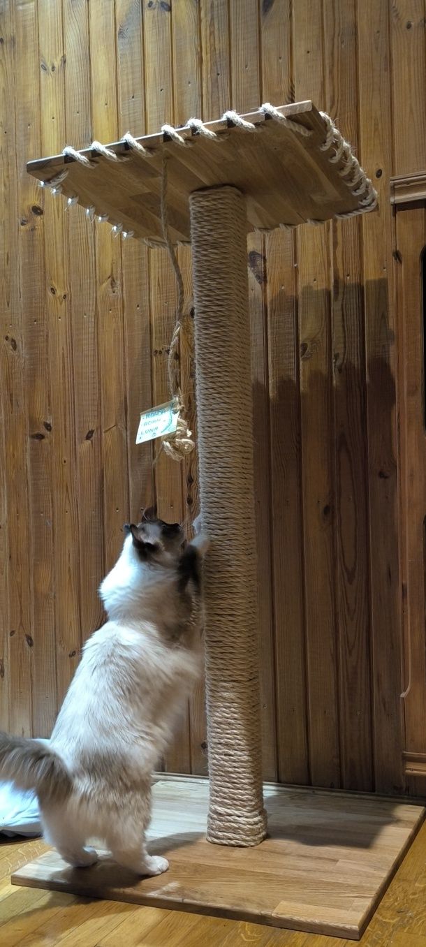 Drapak dla dużych kotów Maine coon, Ragdoll itp. ręczna robota