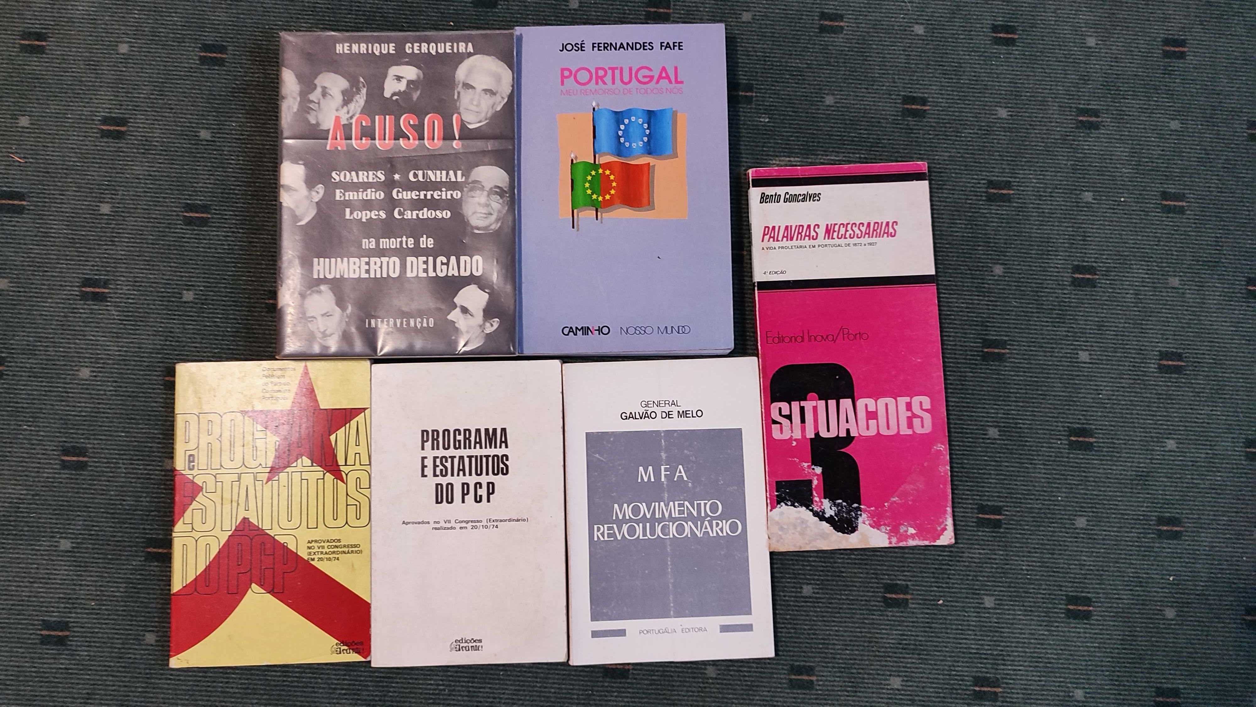 Lote 29 livros História e Politica Portugal