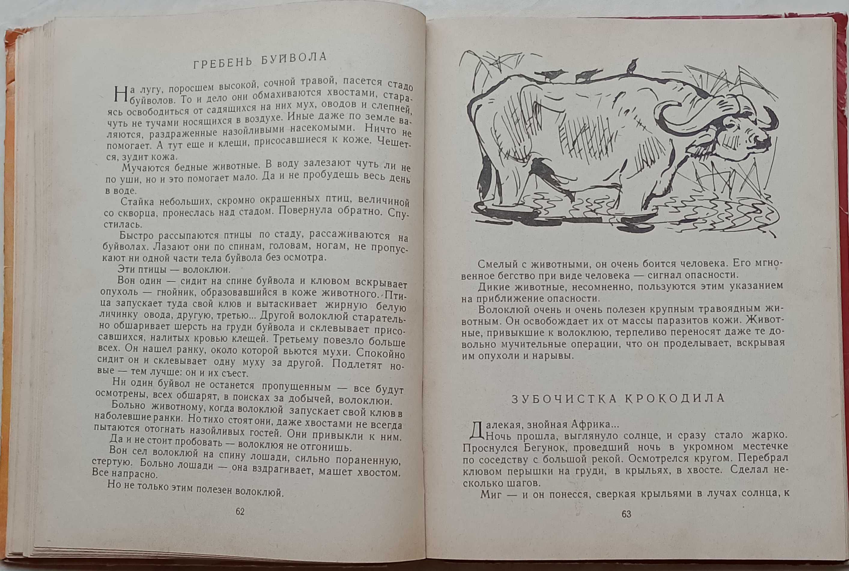 162а.30 Гребень буйвола 1971 Плавильщиков, рис. Никольского