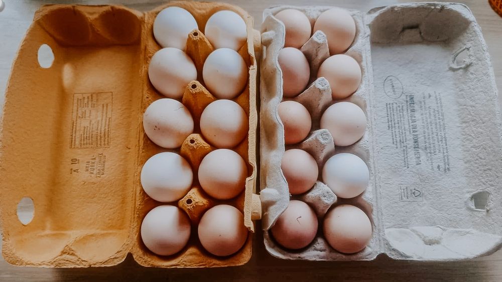 Jajka wiejskie od wolnych kurek