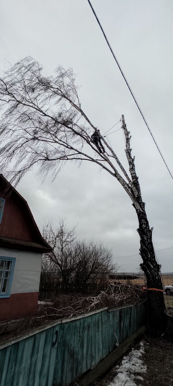 Видалити дерево удалить зрізати обрізка  кронувати спилить видалення