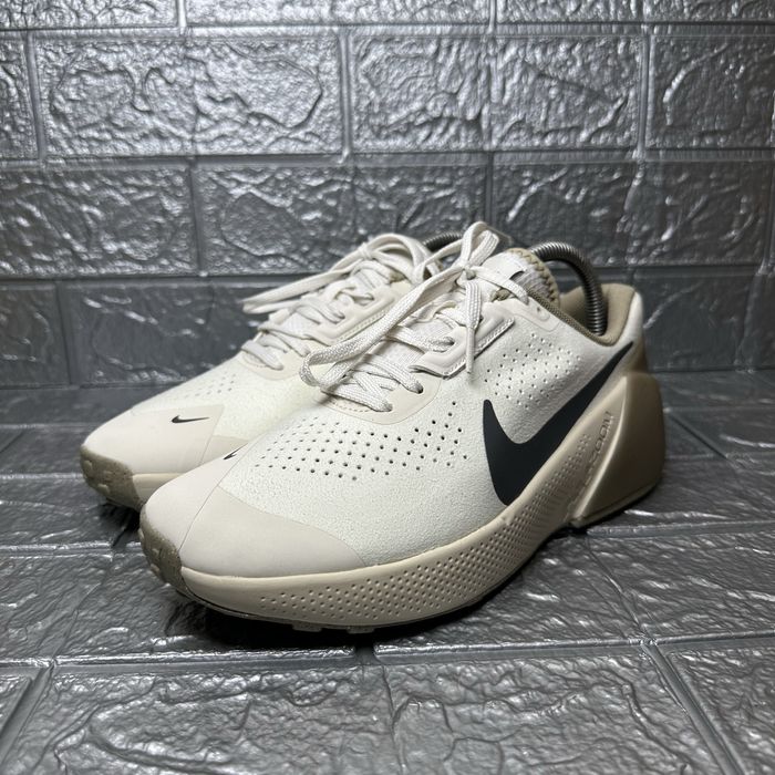 Жіночі кросівки Nike Air Zoom Tr 1 Beige DX9016-006