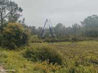 Terreno Rustico com 13875 m2.