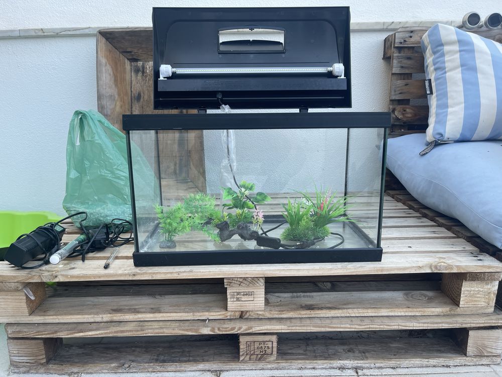 Aquario para peixes com luz led