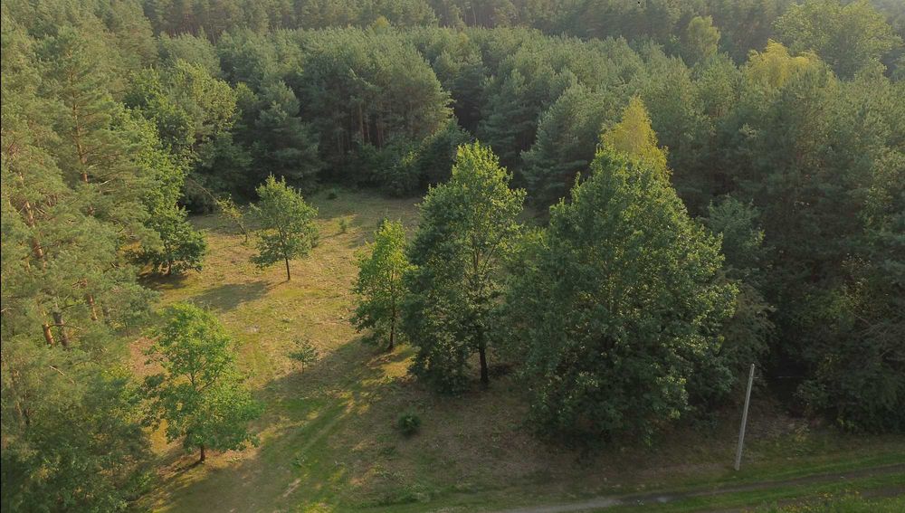 Działka budowlana z lasem 75 arów z WZ obok Mielca