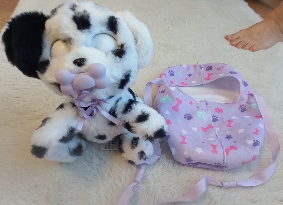Baby paws dalmata