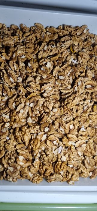 Горіхи волоські,урожай 2025рік