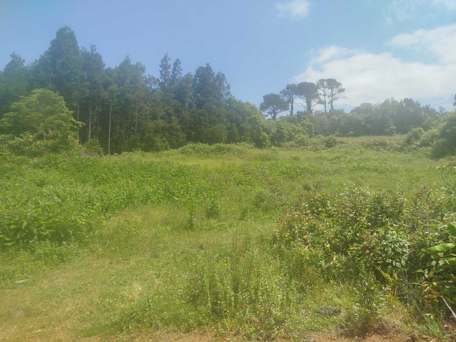 Terreno Pinheira - Rua da Bragada - Santo António