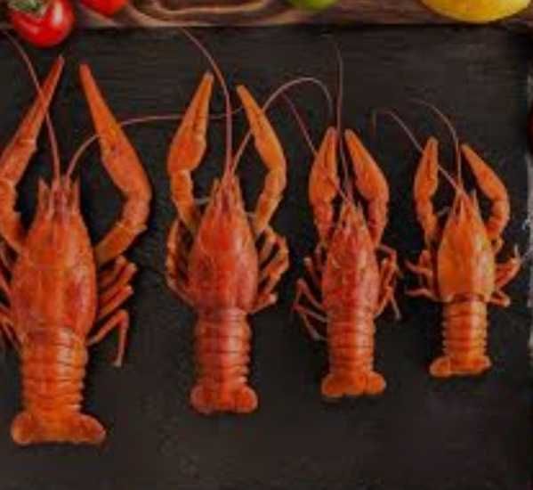 Продам живые раки та свіжі