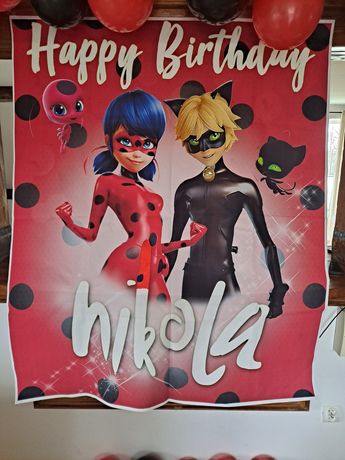 Baner Plakat dekoracje urodziny Biedronka i czarny kot