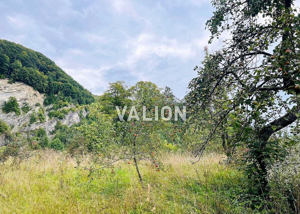 Продаж земельної ділянки вул. Окружна, с. Міжброди, Чернівецька обл.