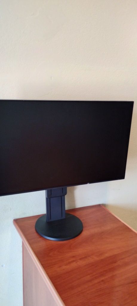 Monitor komputerowy EIZO Flex Scan EV 2451