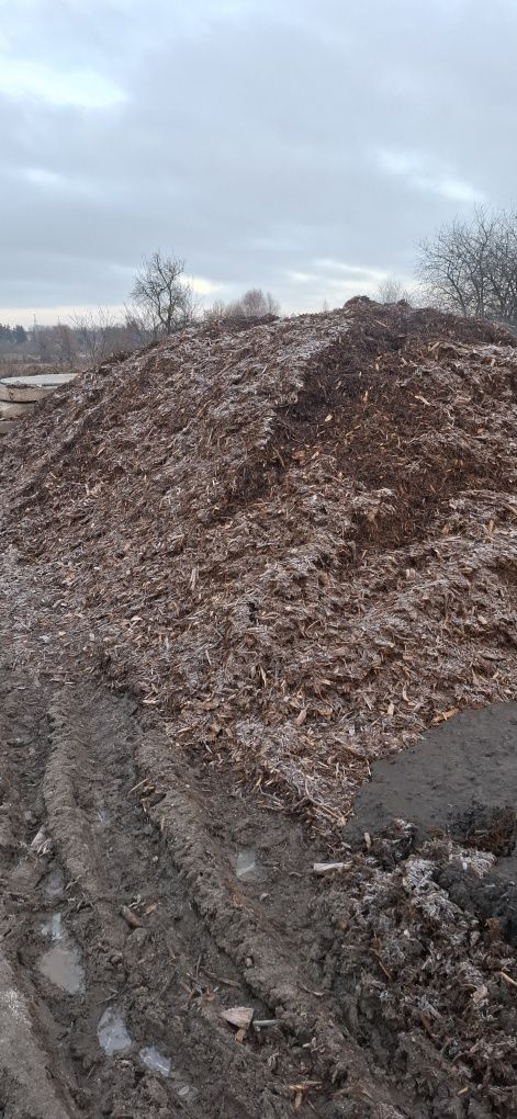 Ziemia ogrodowa, czarnoziem, torf, ziemia do szklarni, bio nawóz