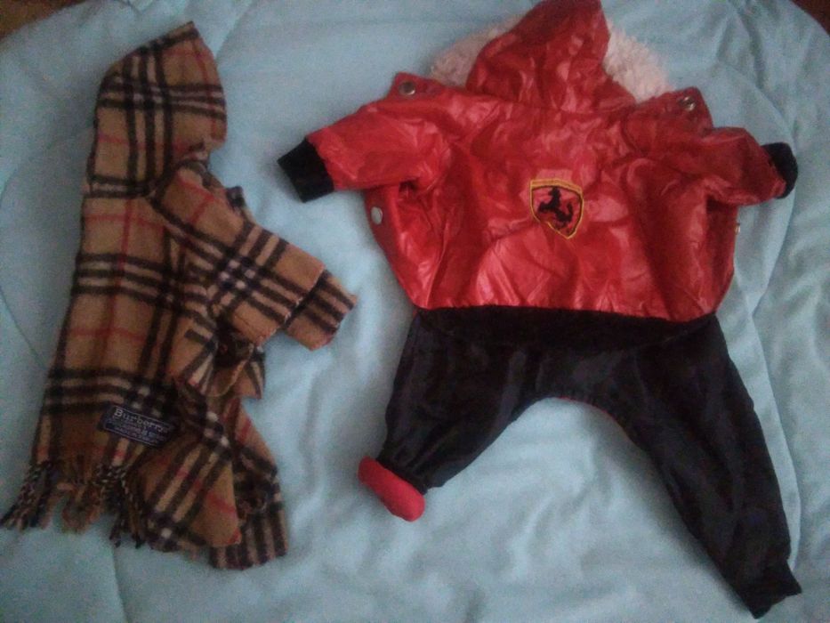 Одежда и аксессуары для собак