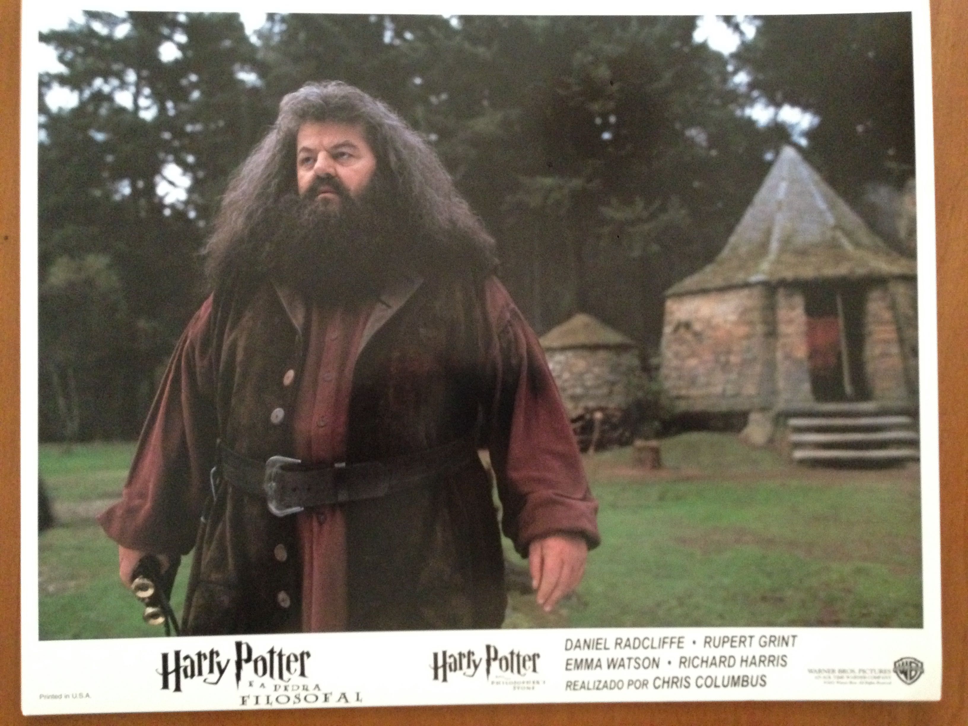 Cartazes cinema originais cos filmes Harry Potter