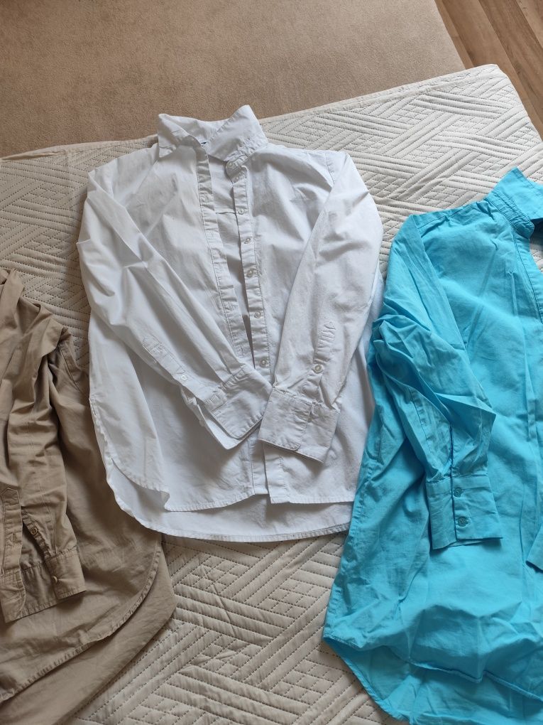 Mega paka koszule Reserved bawełna h&M 34/36