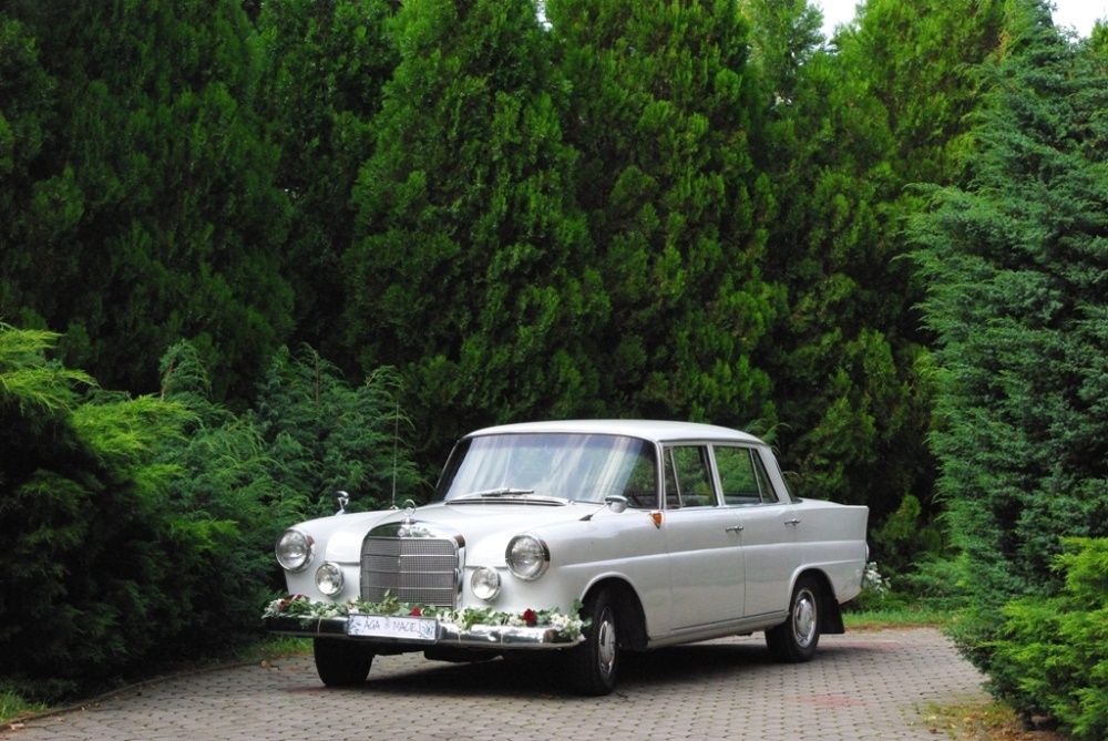 Klasyczna limuzyna do ślubu styl elegancja zabytkowy Mercedes wynajem