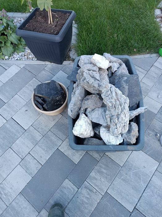 Kamienie Malawi lub Tanganiki