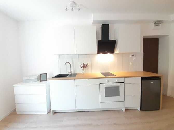 Wynajmę studio przyjazne zwierzętom, Tomasza 5, BRAK PROWIZJI