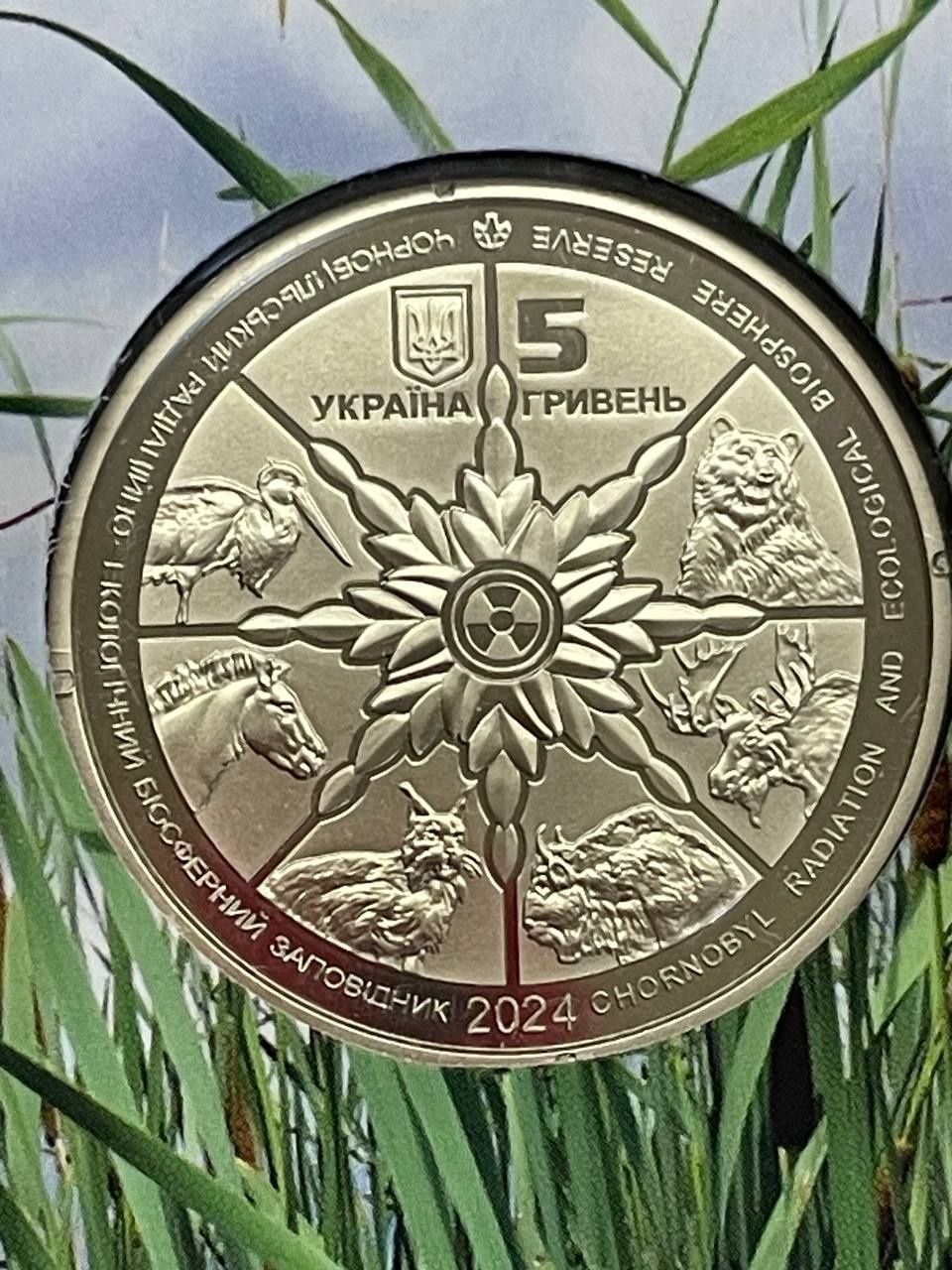 Монета 5 гривень 2024 року Лелека чорний