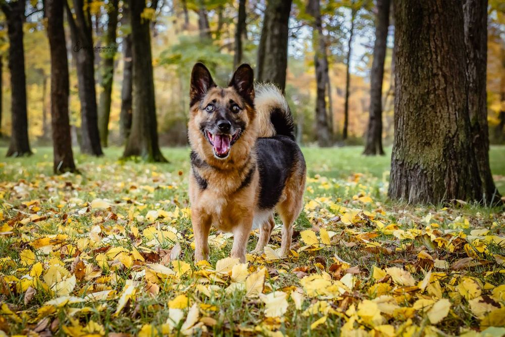 Pozytywny i kontaktowy Martyn