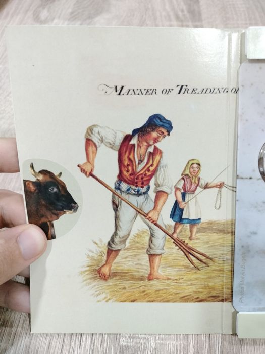 Moeda Comemorativa BNC 2€ Touro Maltês Malta 2025