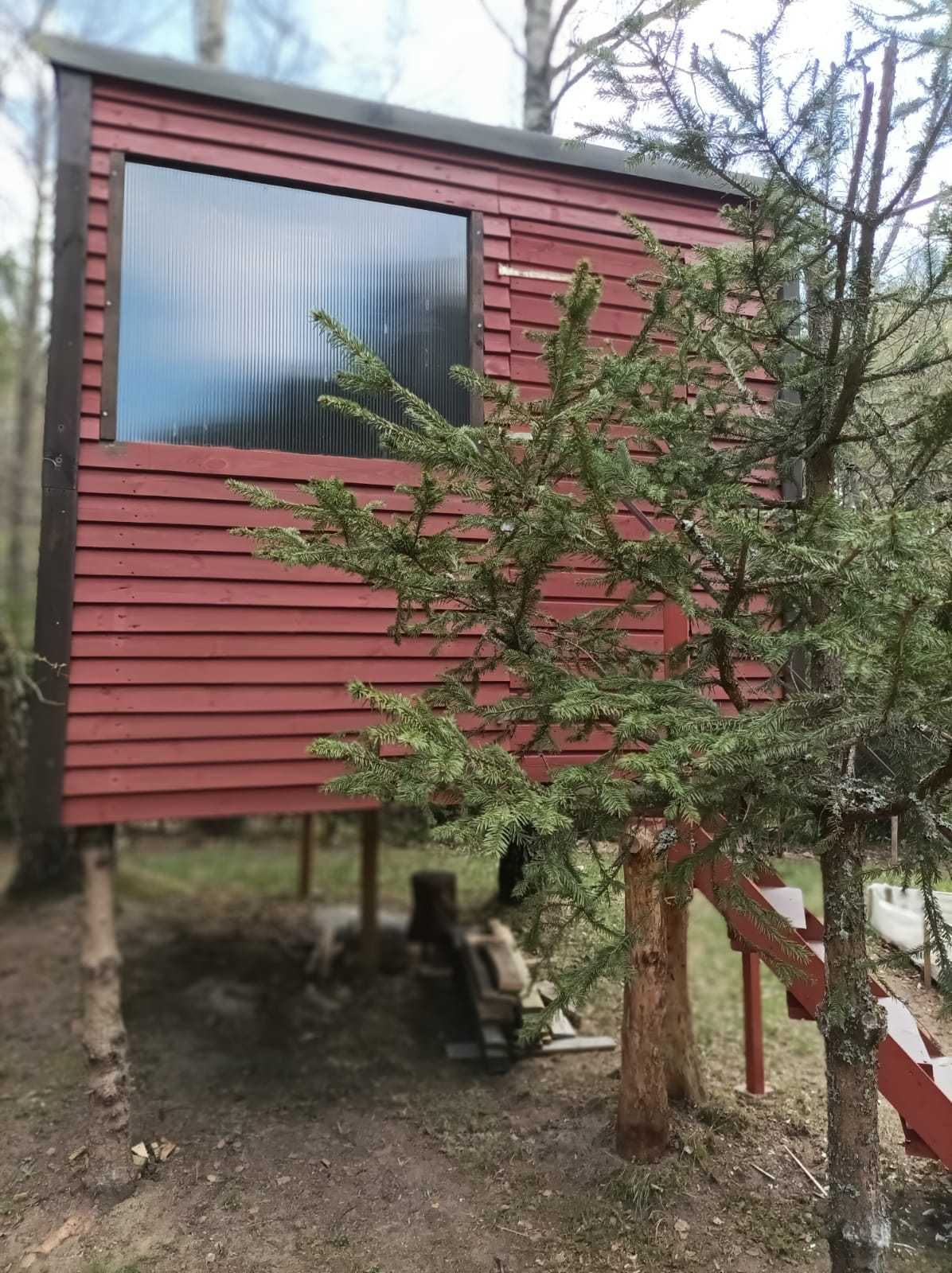 Wynajmę domek w Borach Tucholskich