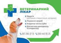 Ветеринарний лікар.