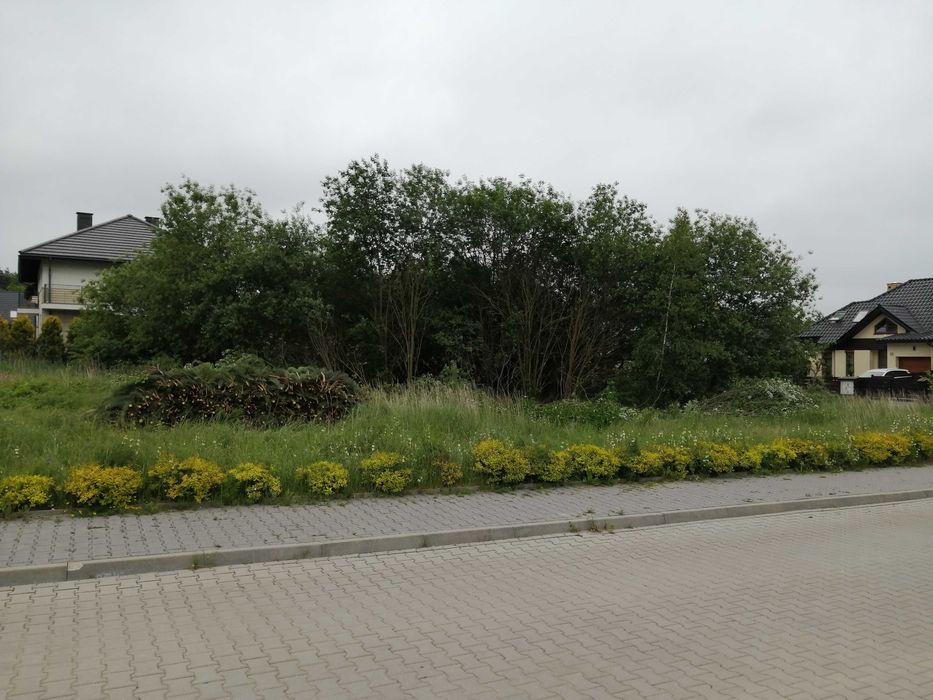 Wycinki,koszenie,rozbiórki stodół,mycie kostki,sprzatanie