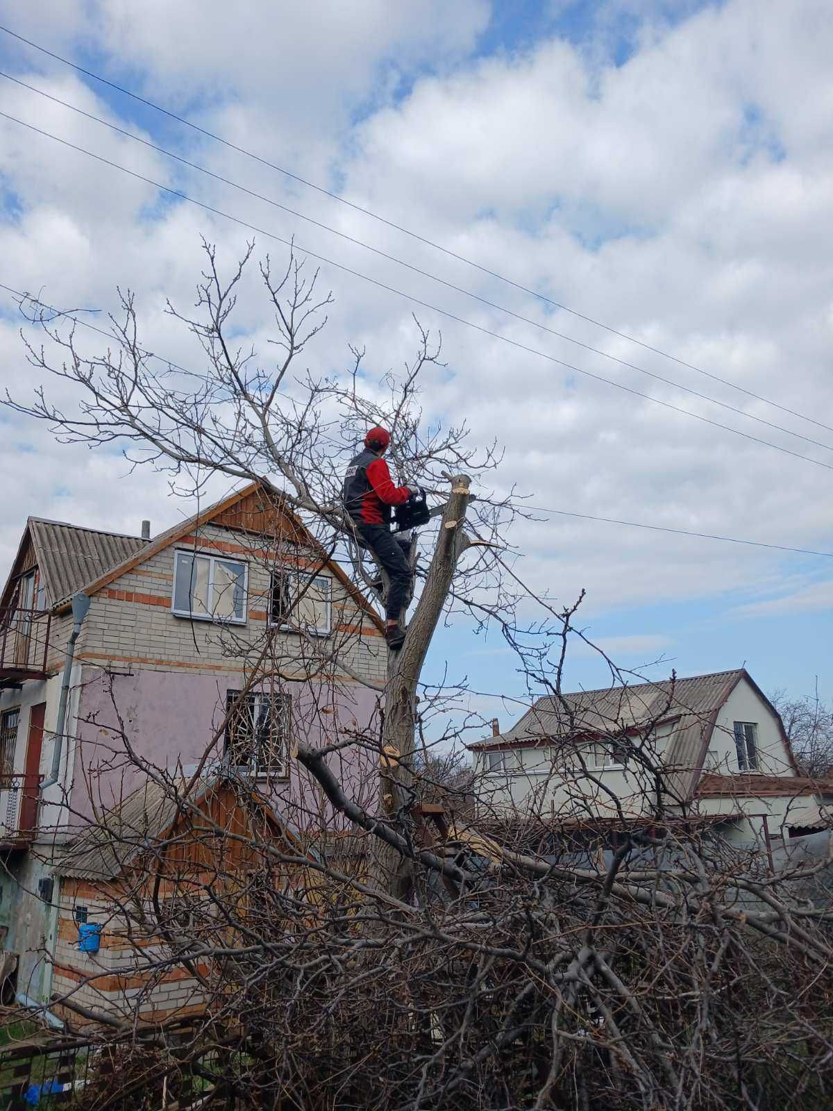 Покос участка Копка огородов ям траншей/ Уборка территории Спил дерева