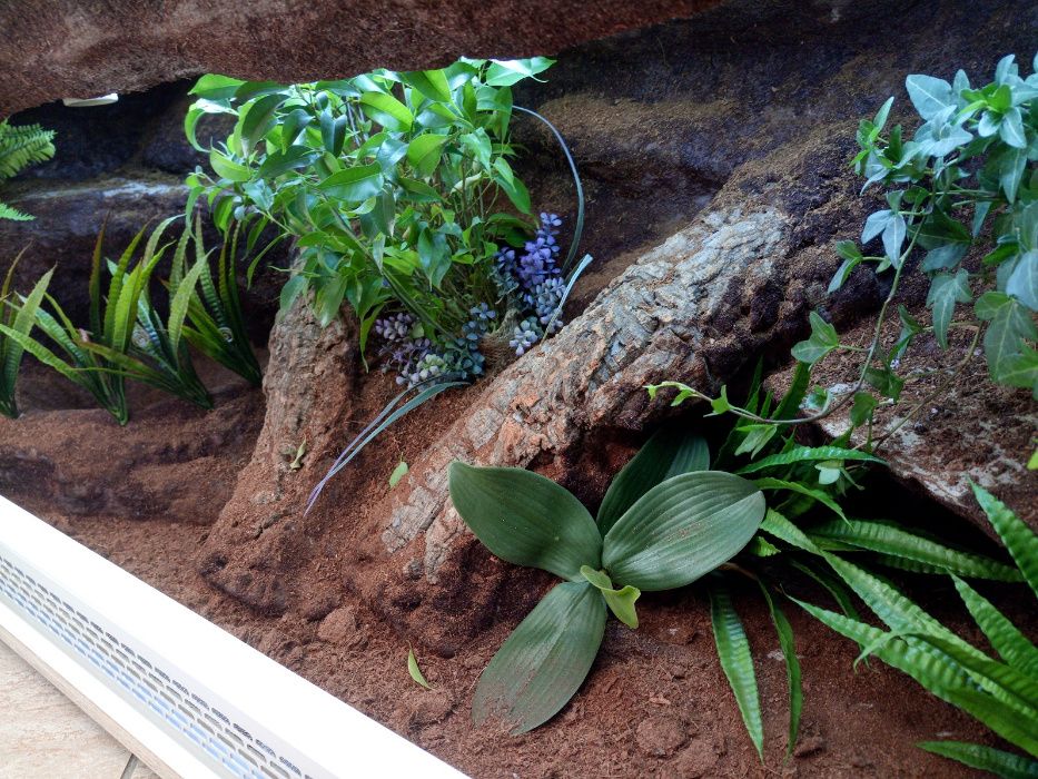 Terrarium nr121 tropikalne dla węża BOA PYTONA 120/45/45 NA ZAMÓWIENIE