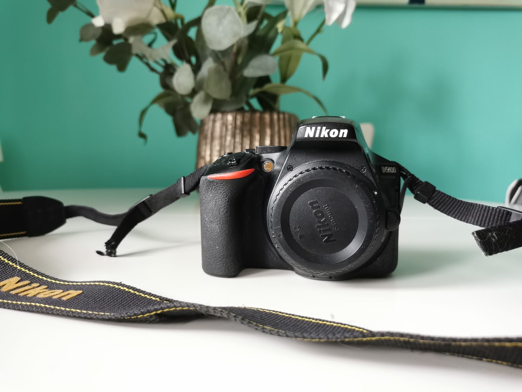 Aparat Nikon D5600 (body)