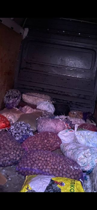 Куплю горіхи та пірʼя